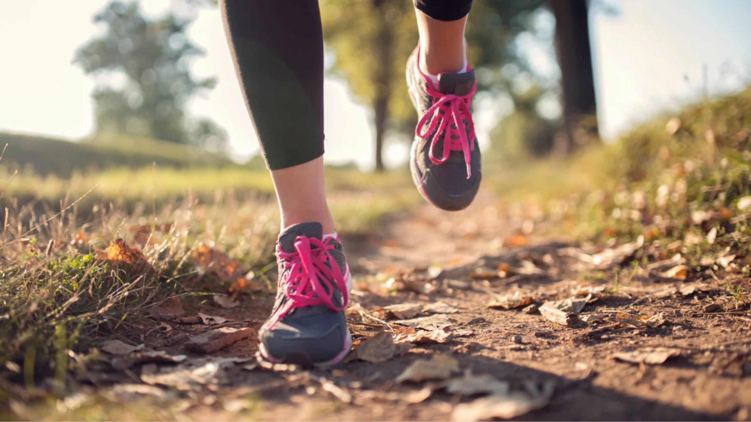 Bewegungsmangel und Physiotherapie